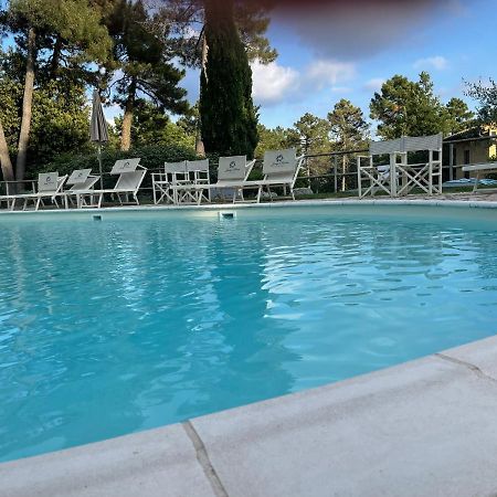 Tuscany Relax H&H - Helly House Leilighet San Vivaldo Eksteriør bilde