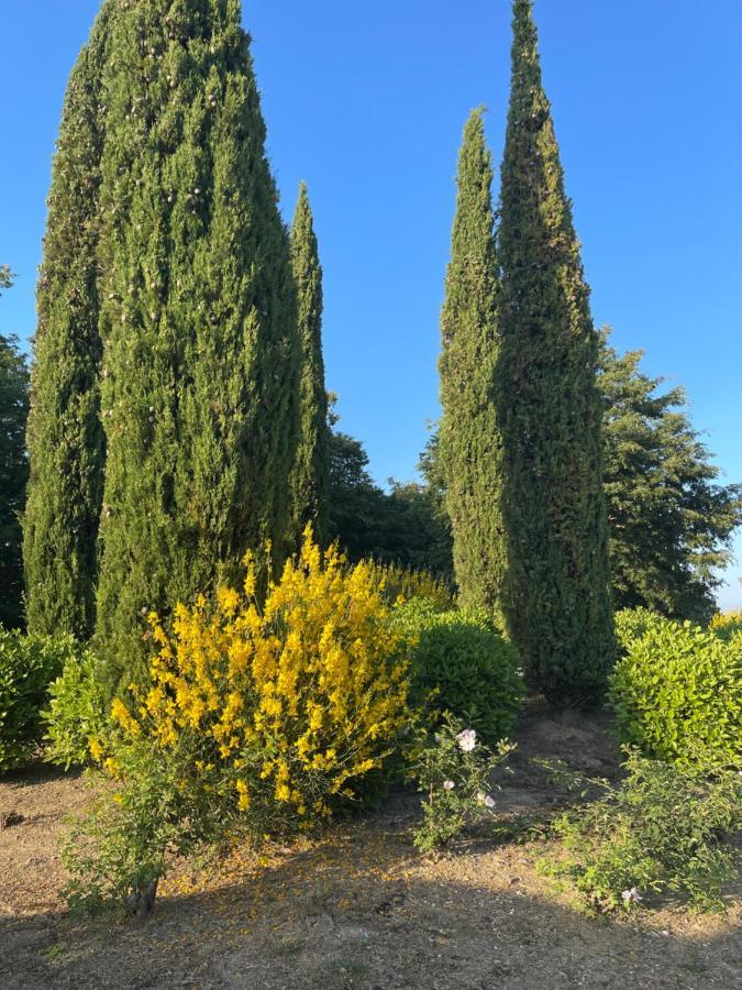 Tuscany Relax H&H - Helly House Leilighet San Vivaldo Eksteriør bilde